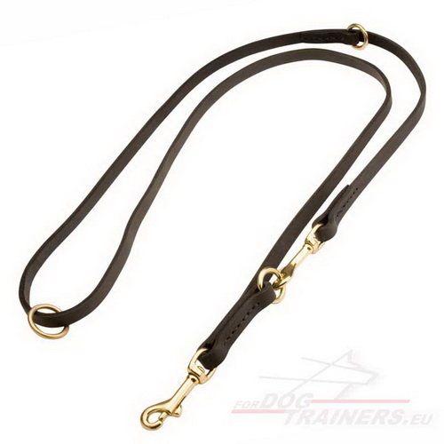Dog Leash for Training | Leash Three Positions of Adjustment - Click Image to Close