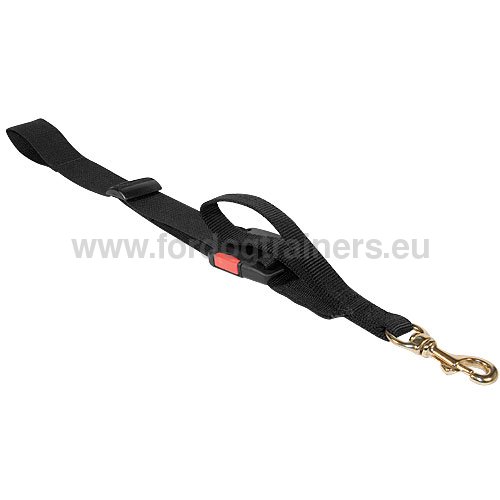 Nylon Dog Leash "Hands Free" for Training 2023 - Click Image to Close