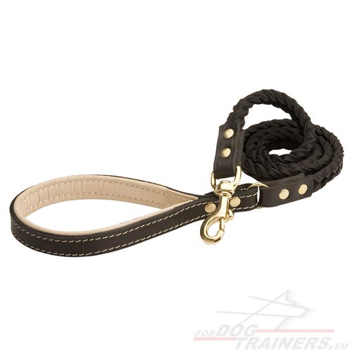 Braided Dog Leash | Leather Lead for Training & Walk✦ - Click Image to Close