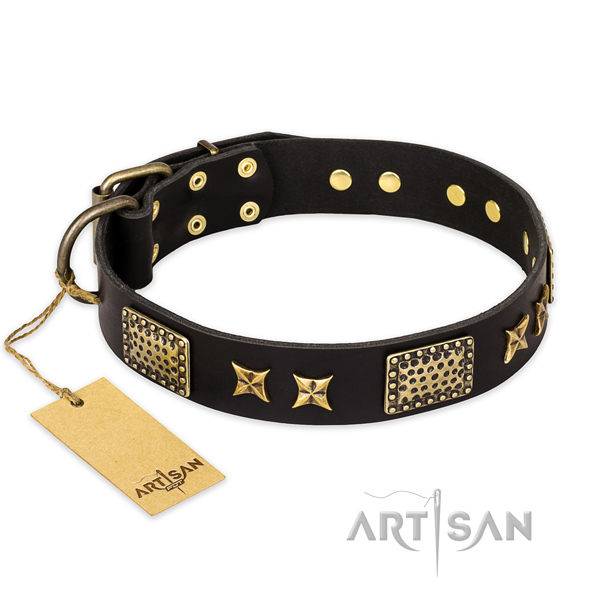 Adjustable Leather Dog Collar "Passion for Style and Beauty" FDT - Click Image to Close