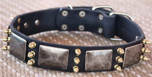 Leder Halsband Design mit Silbrigen Platten und Bronzen Spitzen