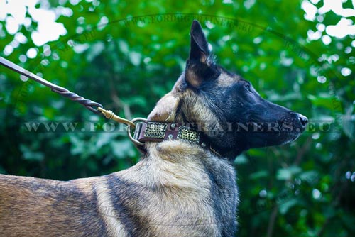 Malinois Collar with "Rusted" Brass Plates ☷ - Click Image to Close