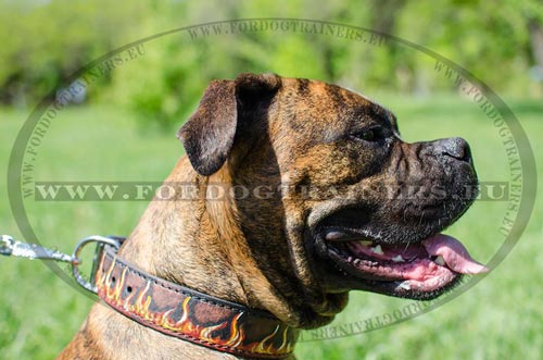 Durable Collar for Boxer Painted With Flames - Click Image to Close