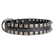 Collier en cuir de qualit pour chien Design Original