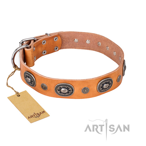 Studded Leather Collar for Dogs Tan Collar for Dogs with Ovals