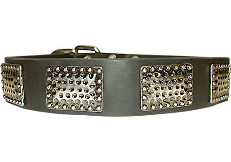 Leather Choke Dog Collar