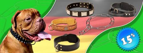 Halsbänder für Hunde aus Leder, Lederhalsband mit Nieten