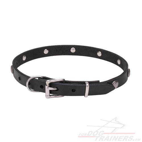 Studded Collar for Dog | Luxury Pet Accessories - Click Image to Close