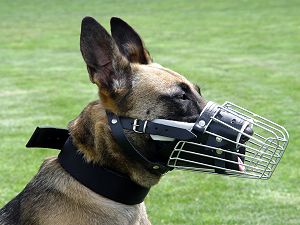 Wire Basket Dog Muzzle for Belgian Malinois - Click Image to Close