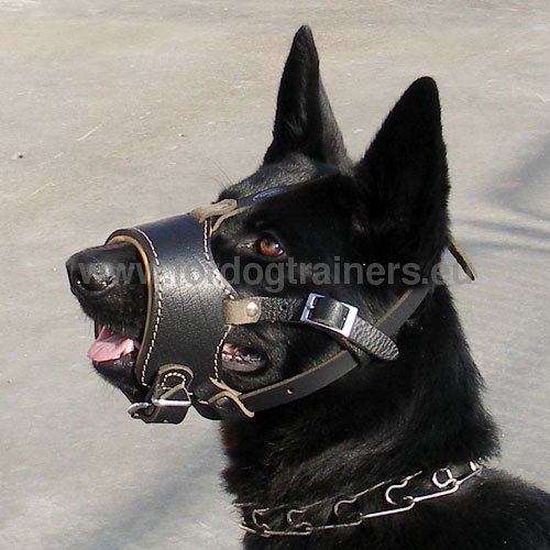 Smooth Leather Dog Muzzle for German Shepherd - Click Image to Close