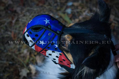 Painted Muzzle for Collie - Click Image to Close