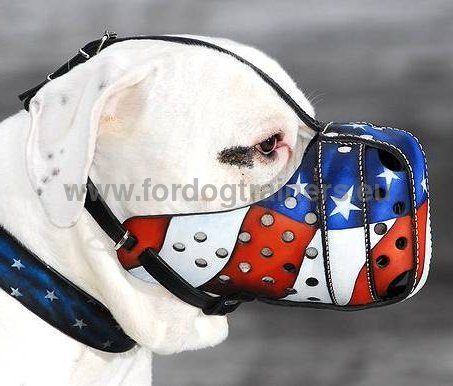 Hand painted leather dog muzzle "American Pride" - Click Image to Close