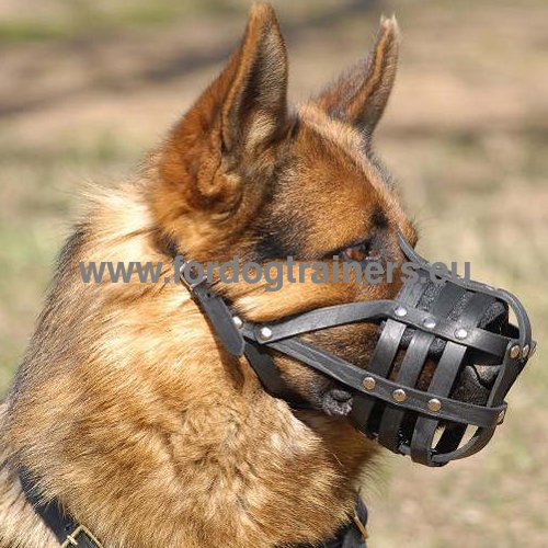 German Shepherd Leather Basket Muzzle ℬℳ - Click Image to Close