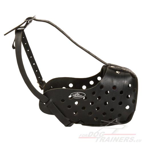 Leather Dog Muzzle for Medium and Big Dog Breeds - Click Image to Close