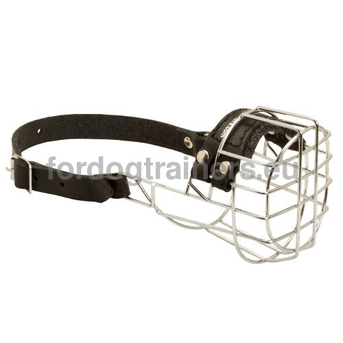 New Designer Wire Dog Muzzle for Schnauzer ✧ - Click Image to Close