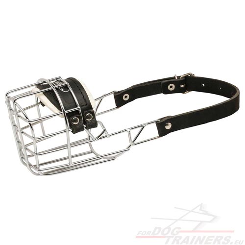 Dachshund Steel Muzzle | Solid Cage Muzzles for Dogs ◇ - Click Image to Close