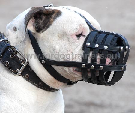 American Bulldog Everyday Light Weight Ventilation Dog muzzle - Click Image to Close
