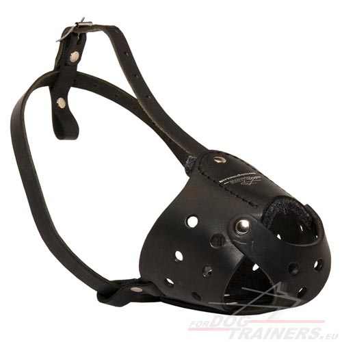 Daily Use Leather Dog Muzzle ❤ - Click Image to Close