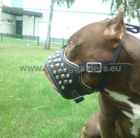 Pitbull Royal Studded Soft Dog Muzzle ◧ - Click Image to Close