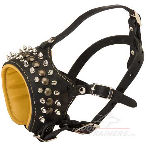 Spiked Royal Leather Dog Muzzle - Click Image to Close
