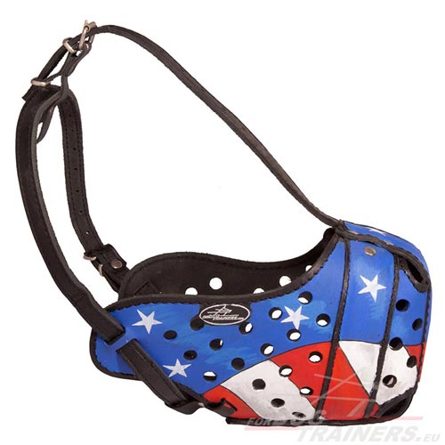 Training Hand Painted Leather Dog Muzzle - Click Image to Close