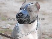 Pitbull Everyday Leather Dog Muzzle ☢ - Click Image to Close