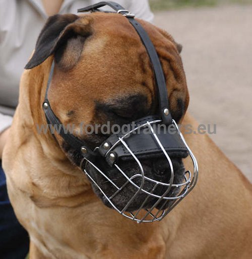 Bullmastiff Wire Basket Dog Muzzle ### - Click Image to Close