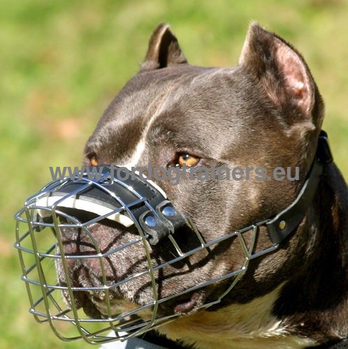 Pitbull Wire Basket Muzzle Super Strong ▦ - Click Image to Close