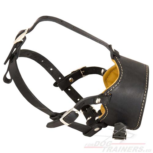 Head Collar Leather for Dogs - Click Image to Close
