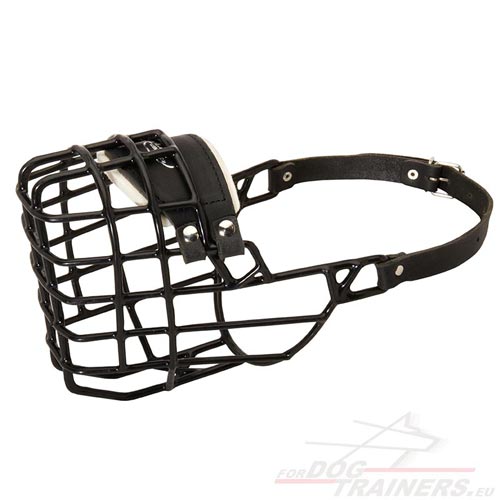 Big Dog Wire Muzzle Covered with Rubber ANTIFROST!!! - Click Image to Close