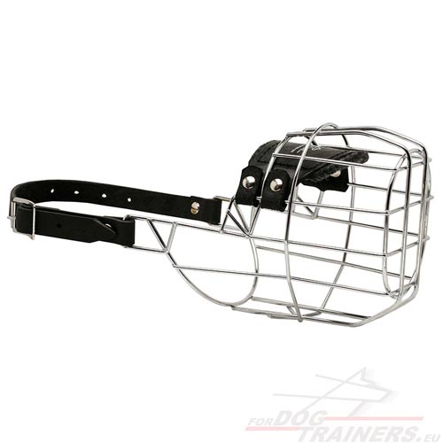 New Effective Wire Dog Muzzle for Bull Terrier ◇ - Click Image to Close