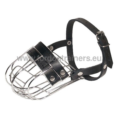 Wire Basket Muzzle Lightweight | Muzzle for Pinscher ▱ - Click Image to Close