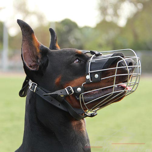 Wire Basket Dog Muzzle for Doberman - Click Image to Close