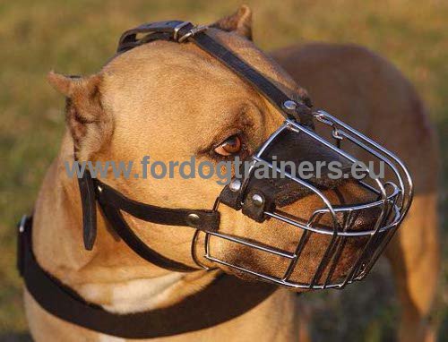 Wire Basket Dog Muzzle for Pitbull ✥ - Click Image to Close