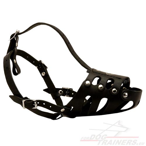 Dog Muzzle Special Construction for Working Dogs - Click Image to Close