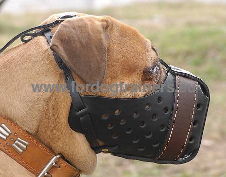 Bullmastiff Leather Dog Muzzle "Dondi plus" | Attack Muzzles - Click Image to Close
