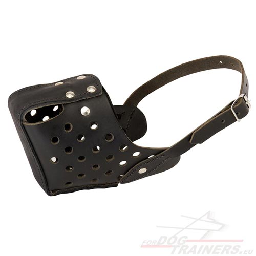 Training Leather Dog Muzzle for Medium and Big Dogs - Click Image to Close