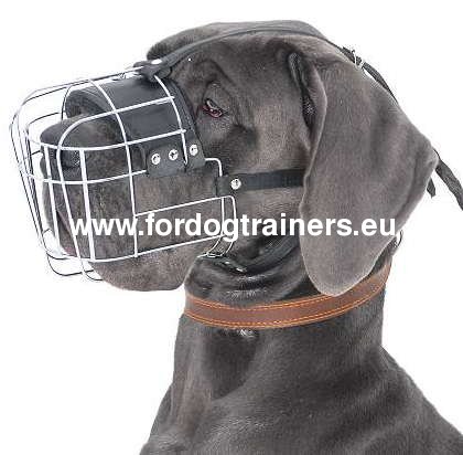 Extra Large Wire Basket Dog Muzzle for Great Dane - Click Image to Close