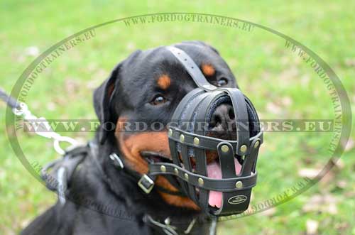 Universele Honden Muilkorf voor Rottweiler