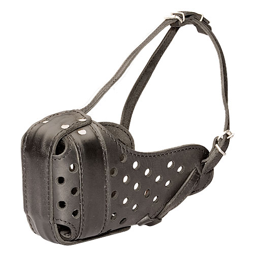 Leather muzzle for
attack work