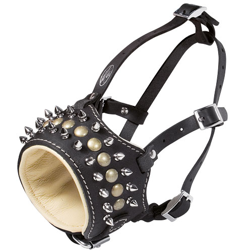 Leather Dog Muzzle for Rottweiler with Spikes