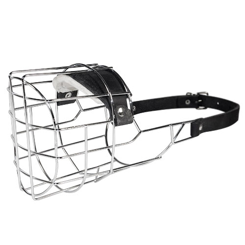 Solid Steel Dog Muzzle Wire Muzzle for Airedale Terrier ⚛ [M91057