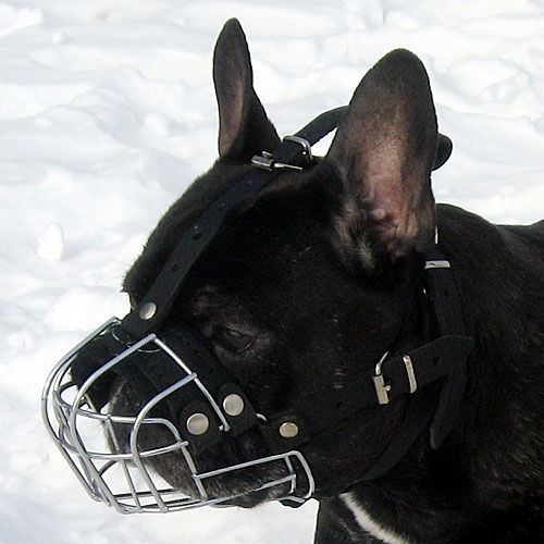 Wire Basket Muzzle for French Bulldog Small