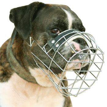 New wire dog muzzle perfect for BOXER - Click Image to Close
