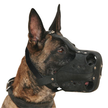 New Leather Working Muzzle for Malinois Optimum Ventilation - Click Image to Close