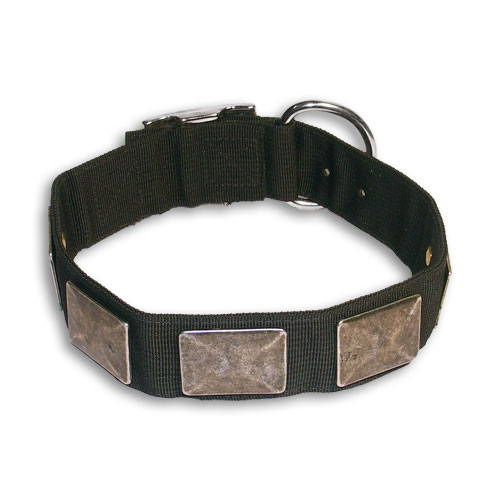 Nylon Dog Collar With Vintage Plates for Boxer - Click Image to Close