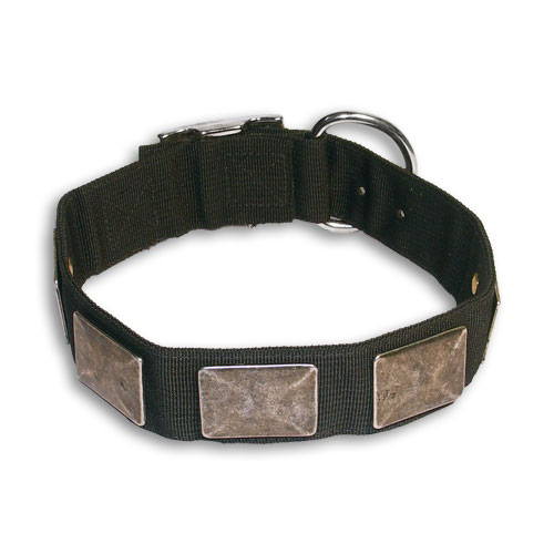 Nylon Hundehalsband