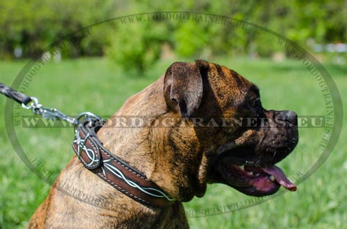 Boxer Leather Collar with "Barbed Wire" Painting ✶✶ - Click Image to Close