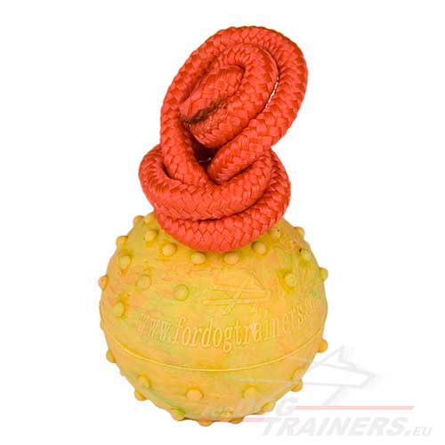Throw Ball | Best Dog Toy ➤ - Click Image to Close