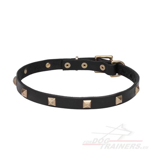 Studded Dog Collar with Brass Pyramids New☜ - Click Image to Close